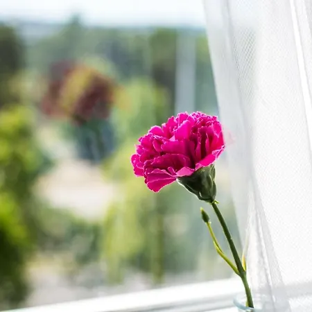 Mw - Nadmorskie Brzezno Appartement